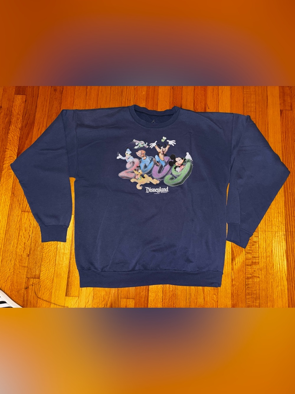 Disneyland Hanes Blue Fleece Crewneck Sweatshirt Disney Characters Graphic XL
